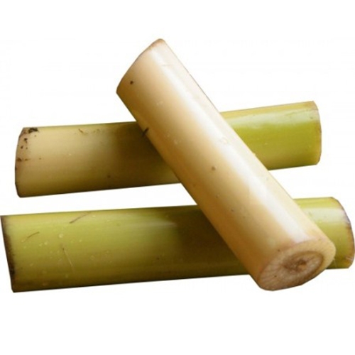 Banana Stem